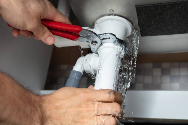 Best Mold removal after water damage  in Roman Forest, TX