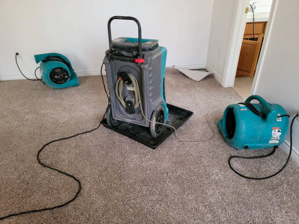 Best Flood damage cleanup  in Roman Forest, TX