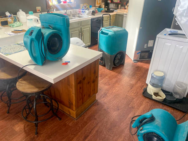 Best Water damage restoration near me  in Roman Forest, TX