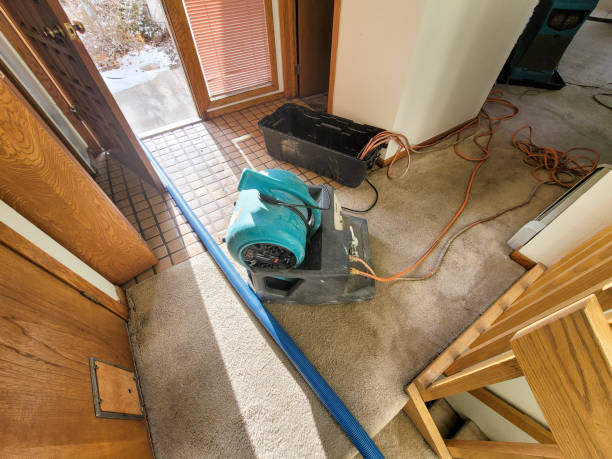 Best 24/7 water damage repair  in Roman Forest, TX
