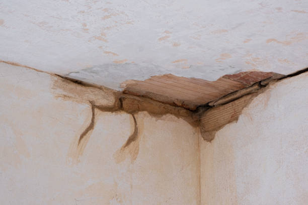 Best Water damage restoration experts  in Roman Forest, TX