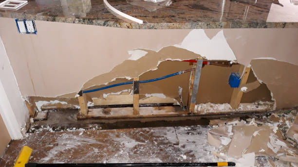 Best Water damage restoration near me  in Roman Forest, TX