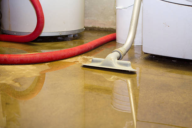  Roman Forest, TX Water damage restoration Pros