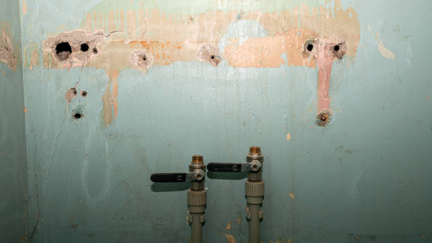 Best Basement water damage restoration  in Roman Forest, TX