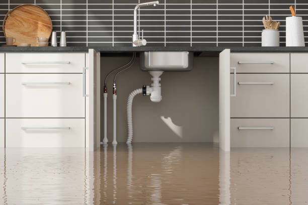 Best Water damage contractors near me  in Roman Forest, TX