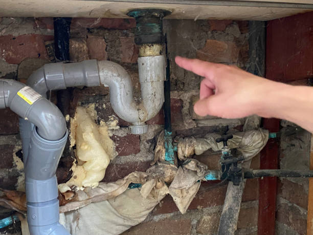 Best Emergency water damage restoration  in Roman Forest, TX