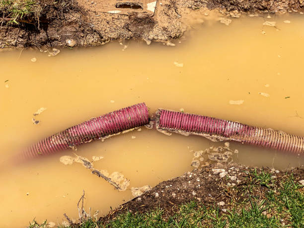 Best Water damage restoration process  in Roman Forest, TX