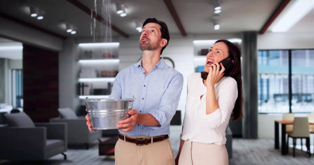 Best Mold removal after water damage  in Roman Forest, TX