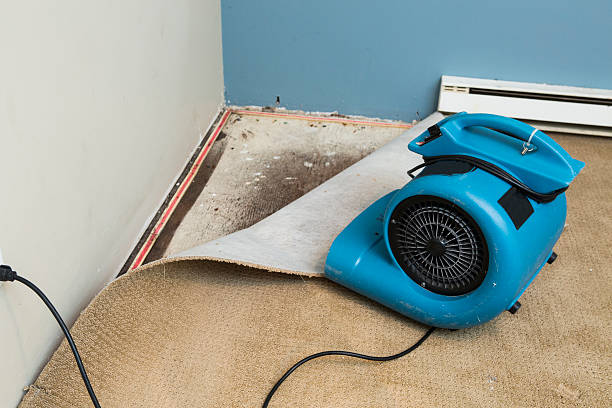 Best Water damage restoration cost  in Roman Forest, TX