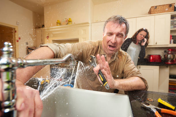 Best Professional water damage repair  in Roman Forest, TX